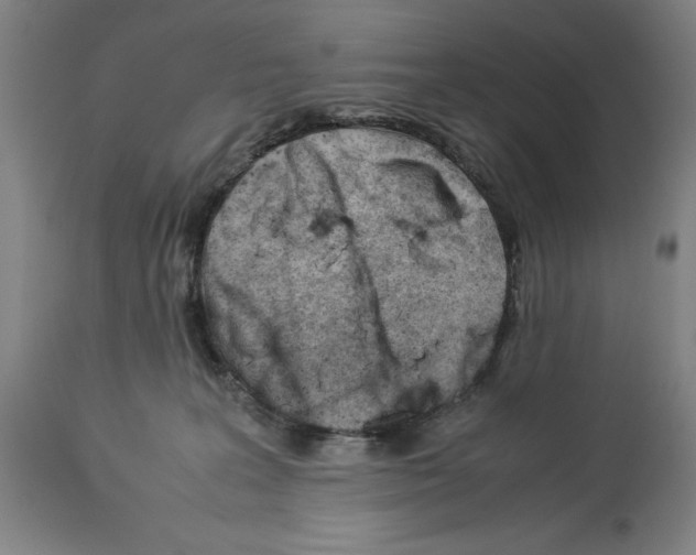 X0000113990227200911131125