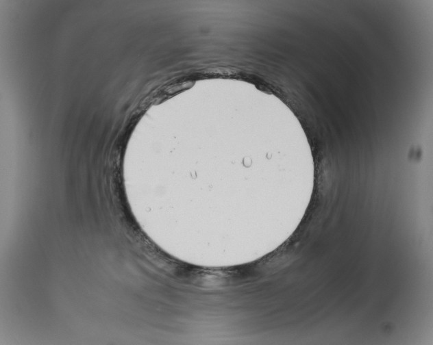 X0000113990229200911131125