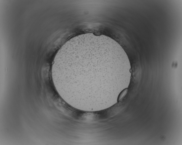 X0000113990231200911131125