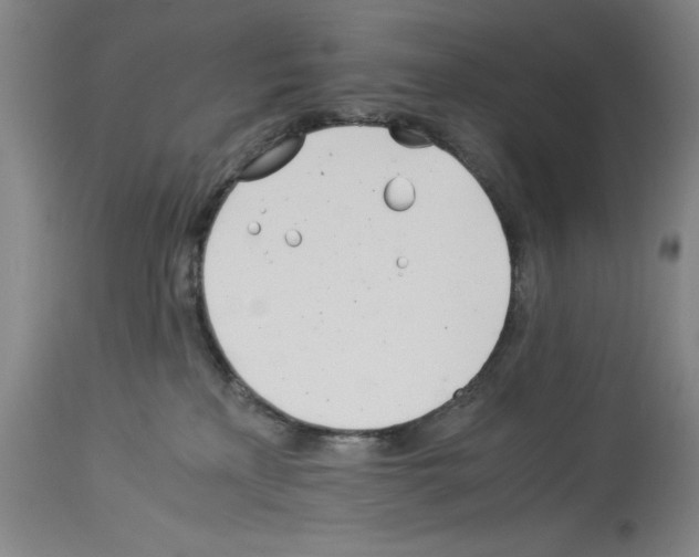 X0000113990233200911131125