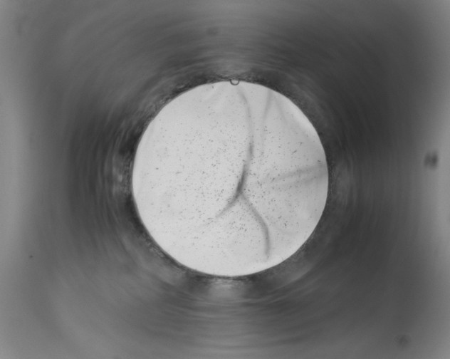 X0000113990234200911131125