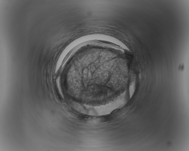 X0000113990235200911131125