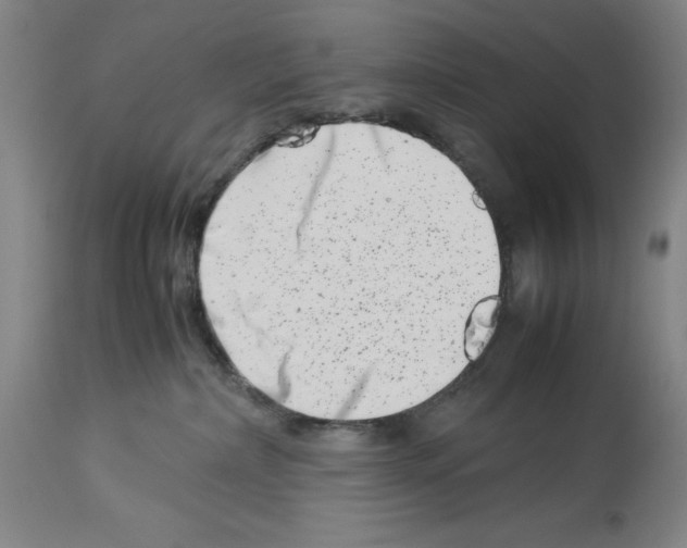 X0000113990236200911131125