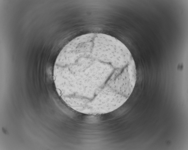 X0000113990238200911131125