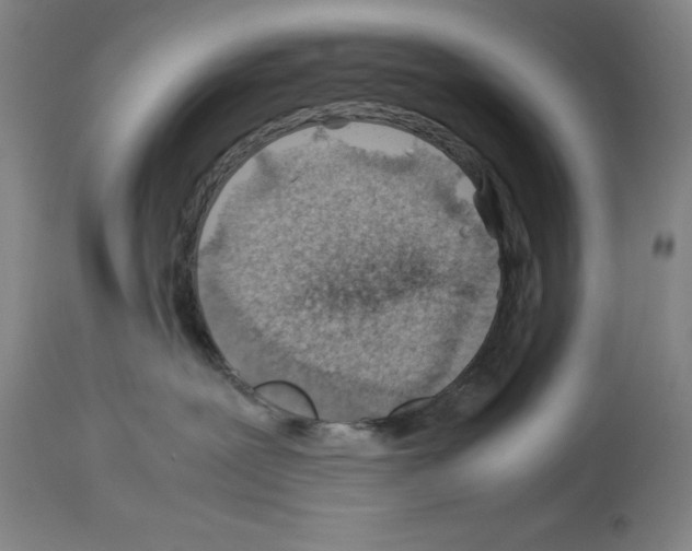 X0000113990239200911131125