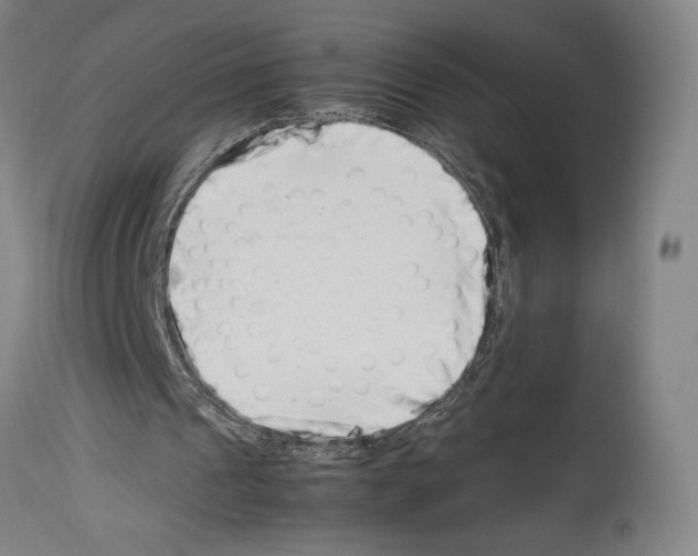 X0000113990241200911131124