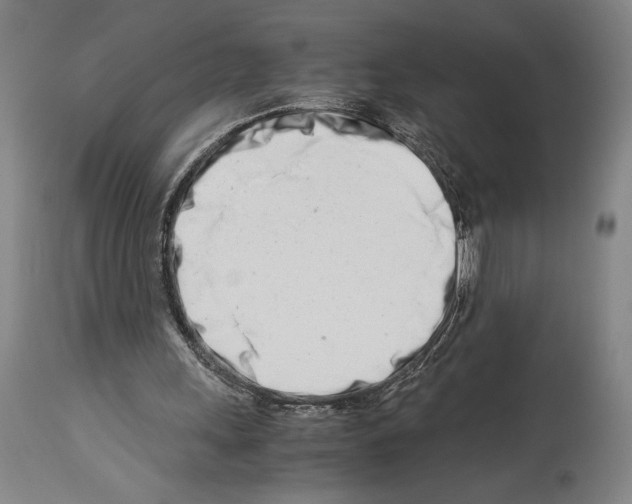 X0000113990243200911131124