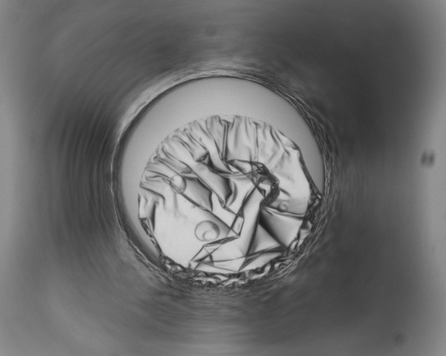 X0000113990244200911131124