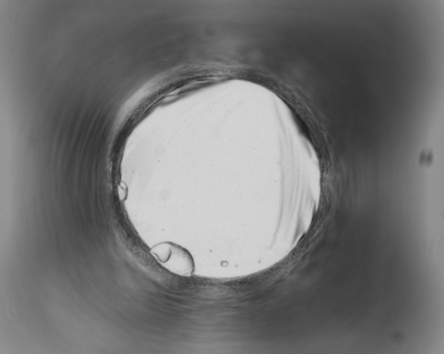 X0000113990246200911131124