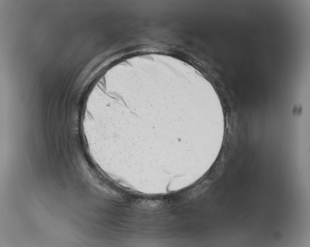 X0000113990247200911131124