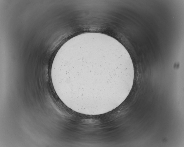 X0000113990251200911131124