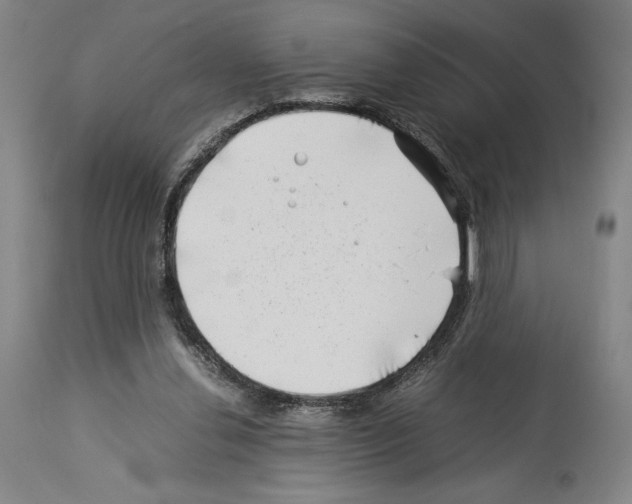 X0000113990252200911131124