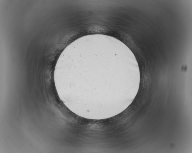 X0000113990259200911131124