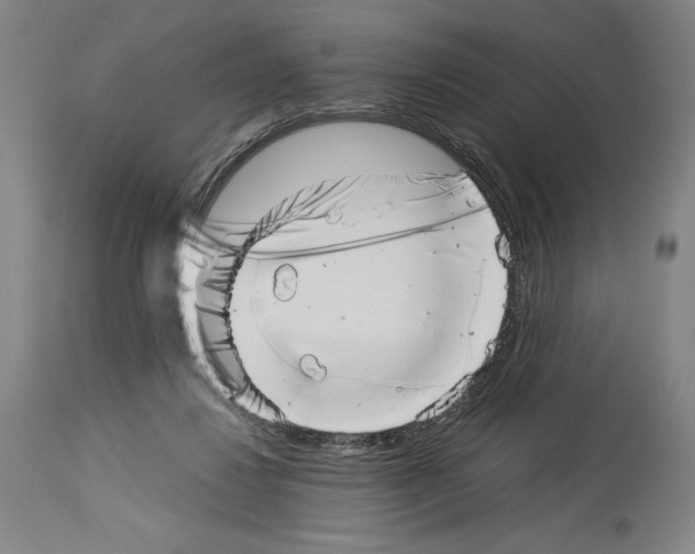 X0000113990260200911131124