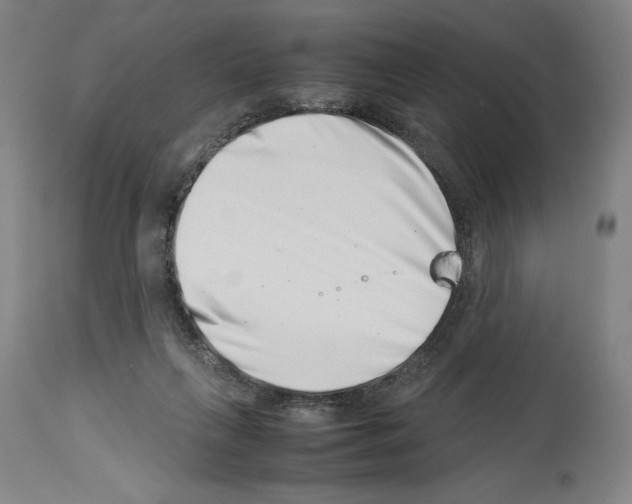 X0000113990263200911131124