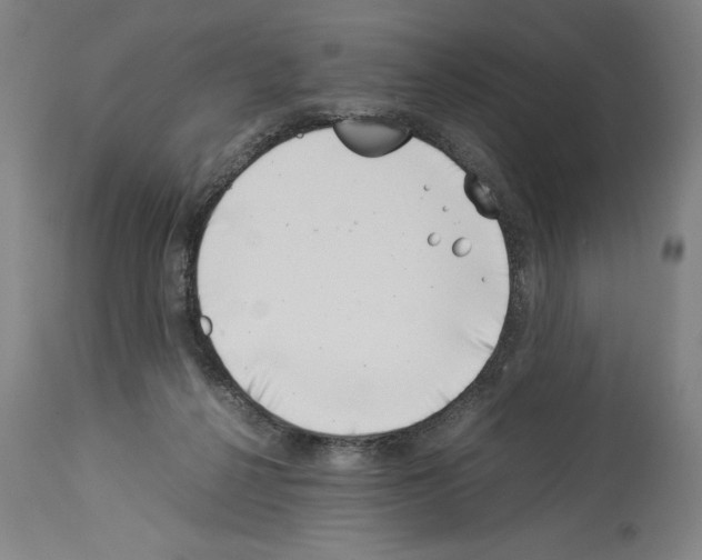 X0000113990264200911131124