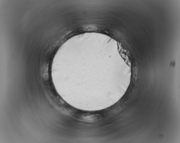 X0000113990267200911131124