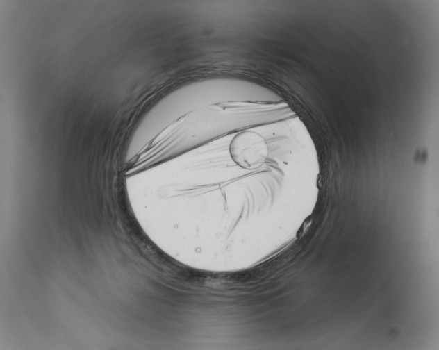 X0000113990268200911131124