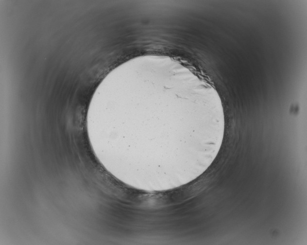 X0000113990273200911131124