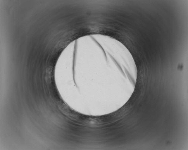 X0000113990275200911131124