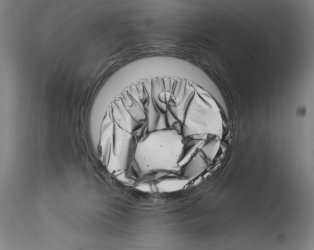 X0000113990276200911131124