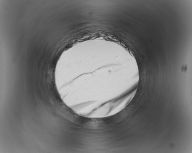 X0000113990278200911131124