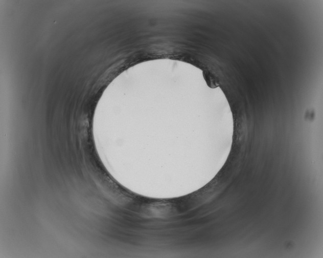 X0000113990279200911131124