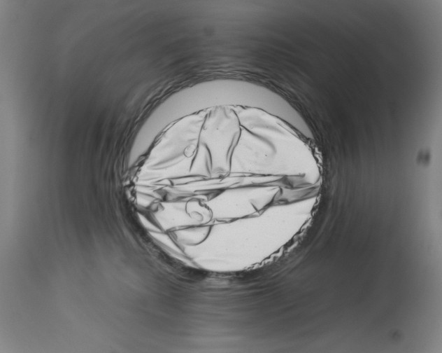 X0000113990280200911131124