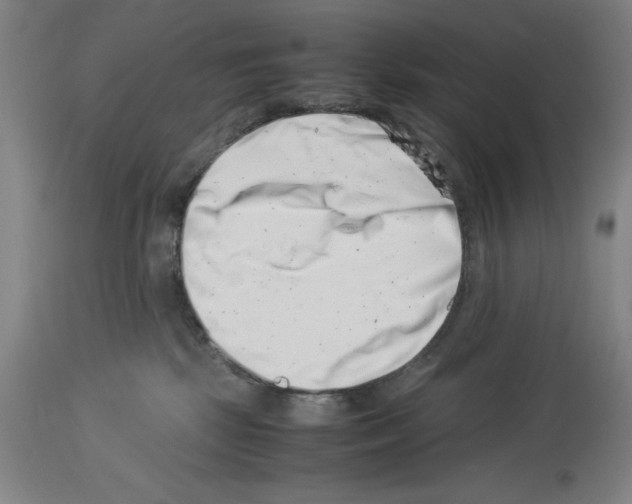 X0000113990281200911131124