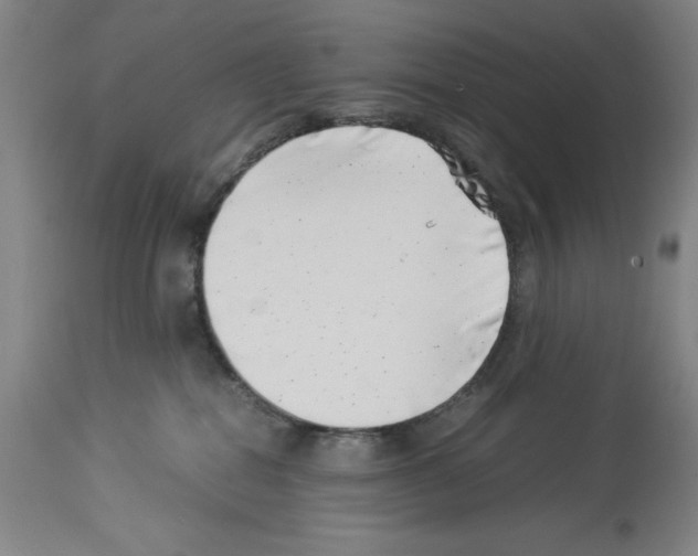 X0000113990282200911131124