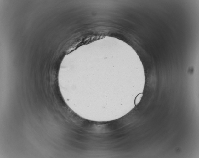 X0000113990283200911131124