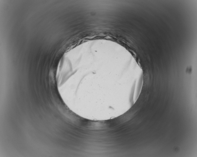 X0000113990286200911131125