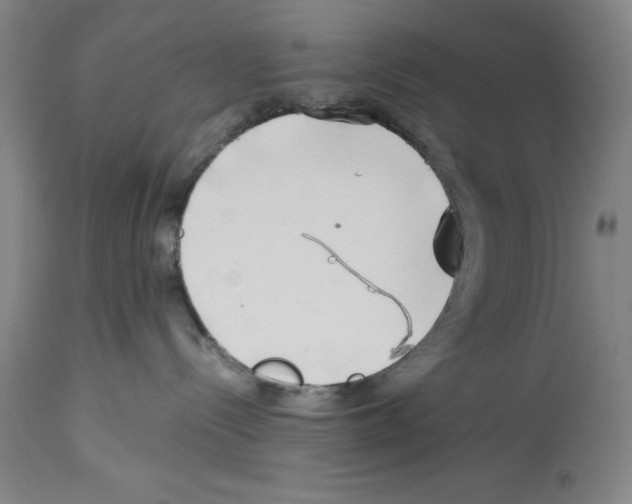 X0000113990288200911131125