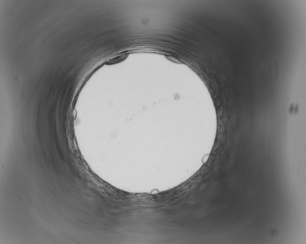 X0000113990289200911131124