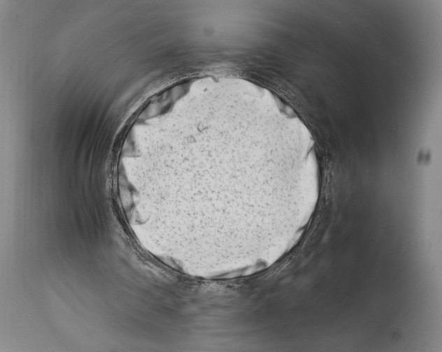 X0000113990290200911131124