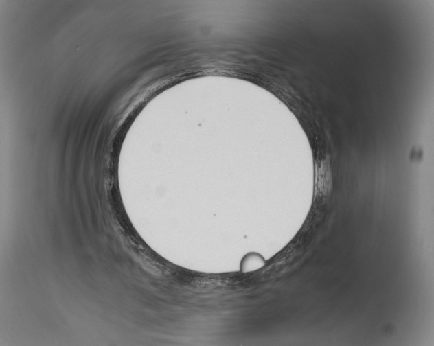 X0000113990291200911131124