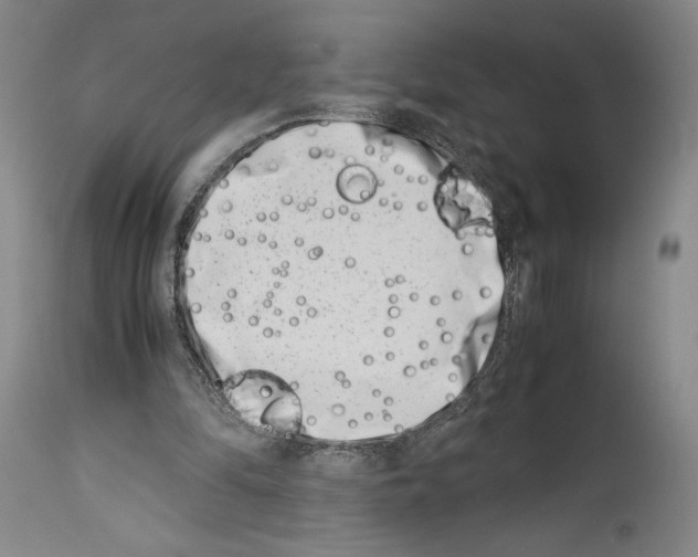 X0000113990294200911131124