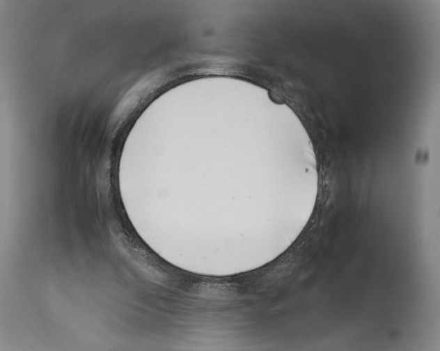 X0000113990296200911131124