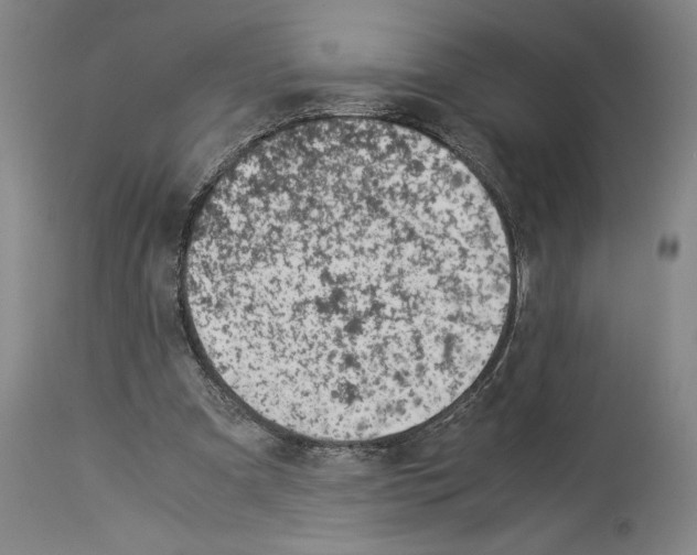 X0000113990297200911131124