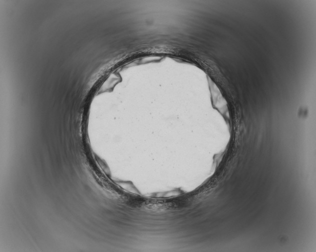 X0000113990299200911131124