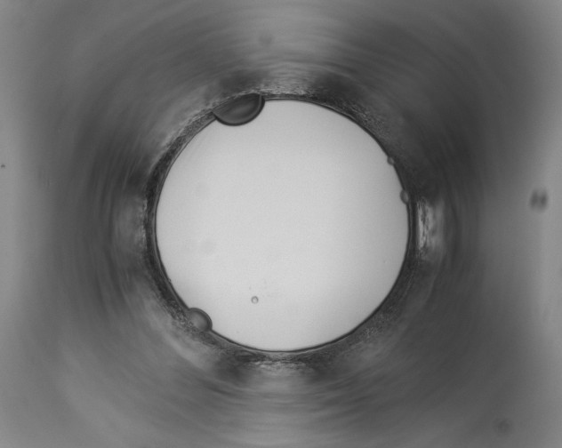 X0000113990300200911131124