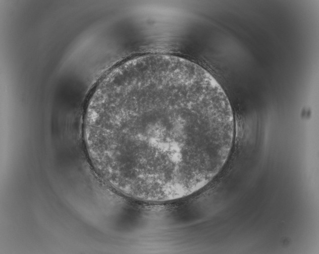 X0000113990301200911131124