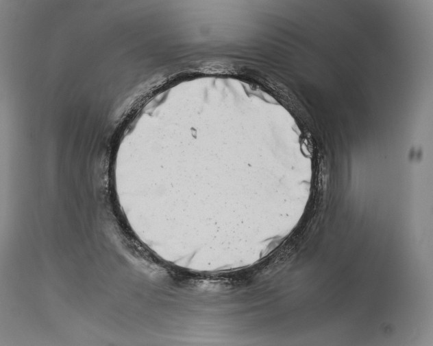 X0000113990303200911131124