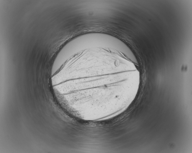 X0000113990305200911131124