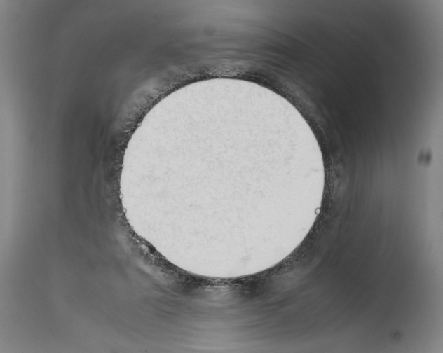 X0000113990307200911131124