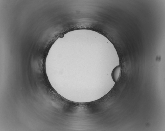 X0000113990308200911131124