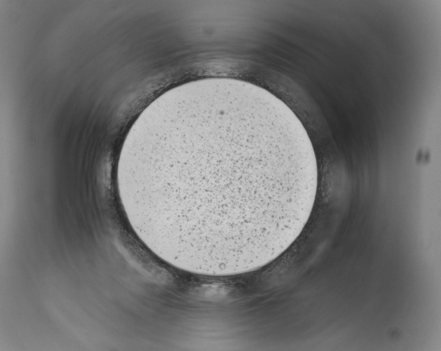 X0000113990310200911131124