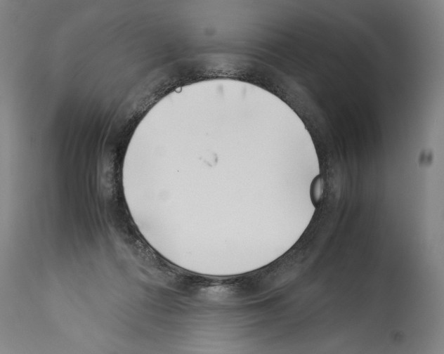 X0000113990312200911131124