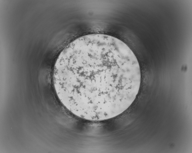 X0000113990313200911131124