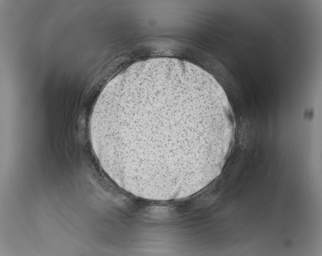 X0000113990314200911131124